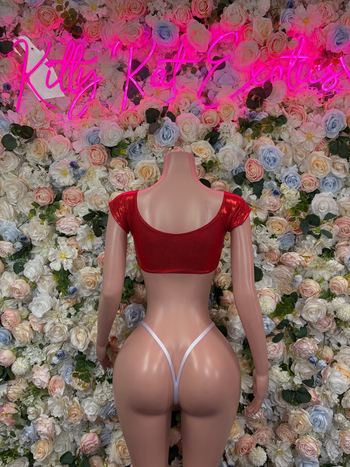 Christmas Outfit Sexy Santa Two Piece Bikini Costume Santa Baby Outfit Bartender Dancewear