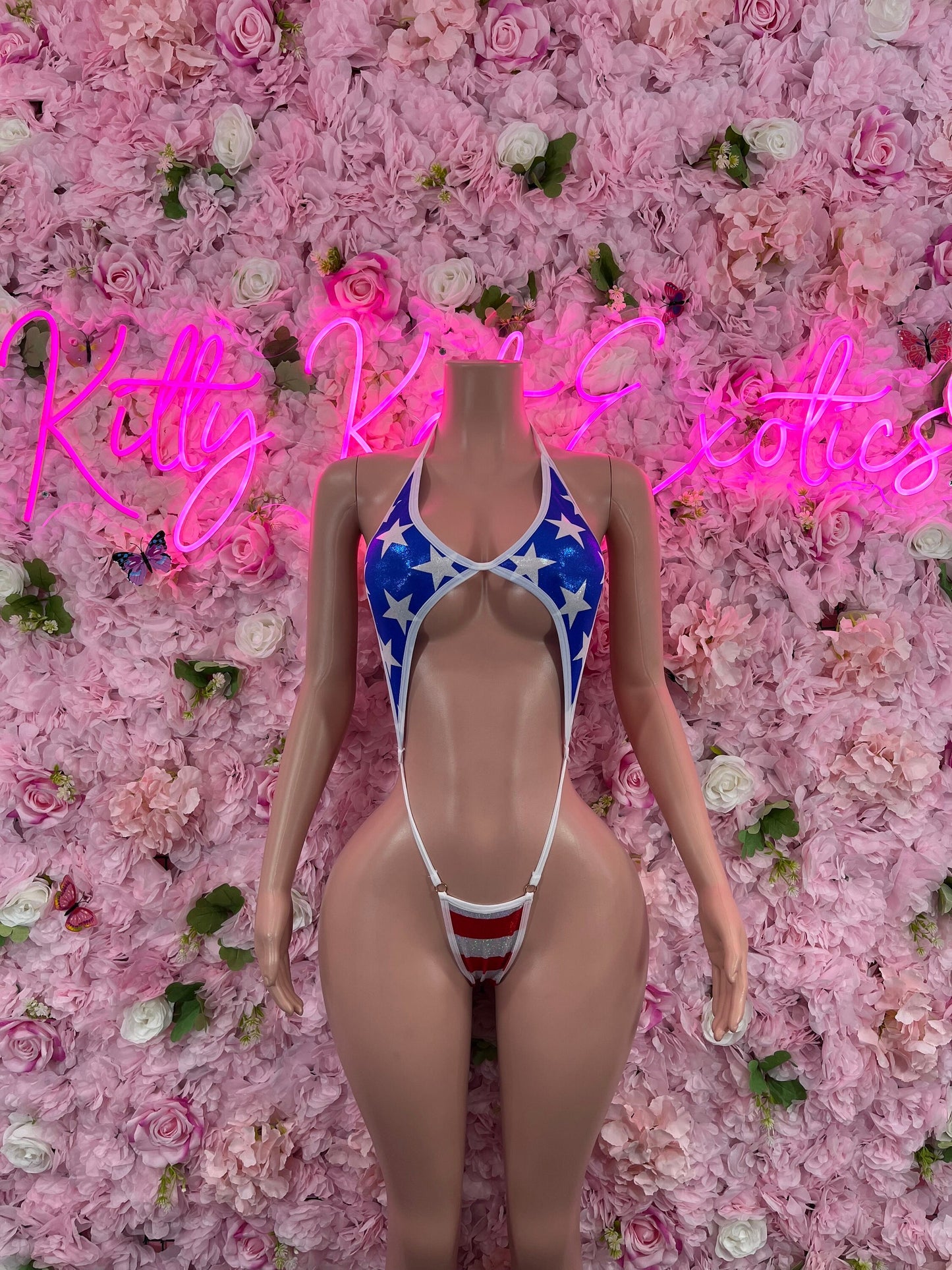 Two Piece Bikini USA