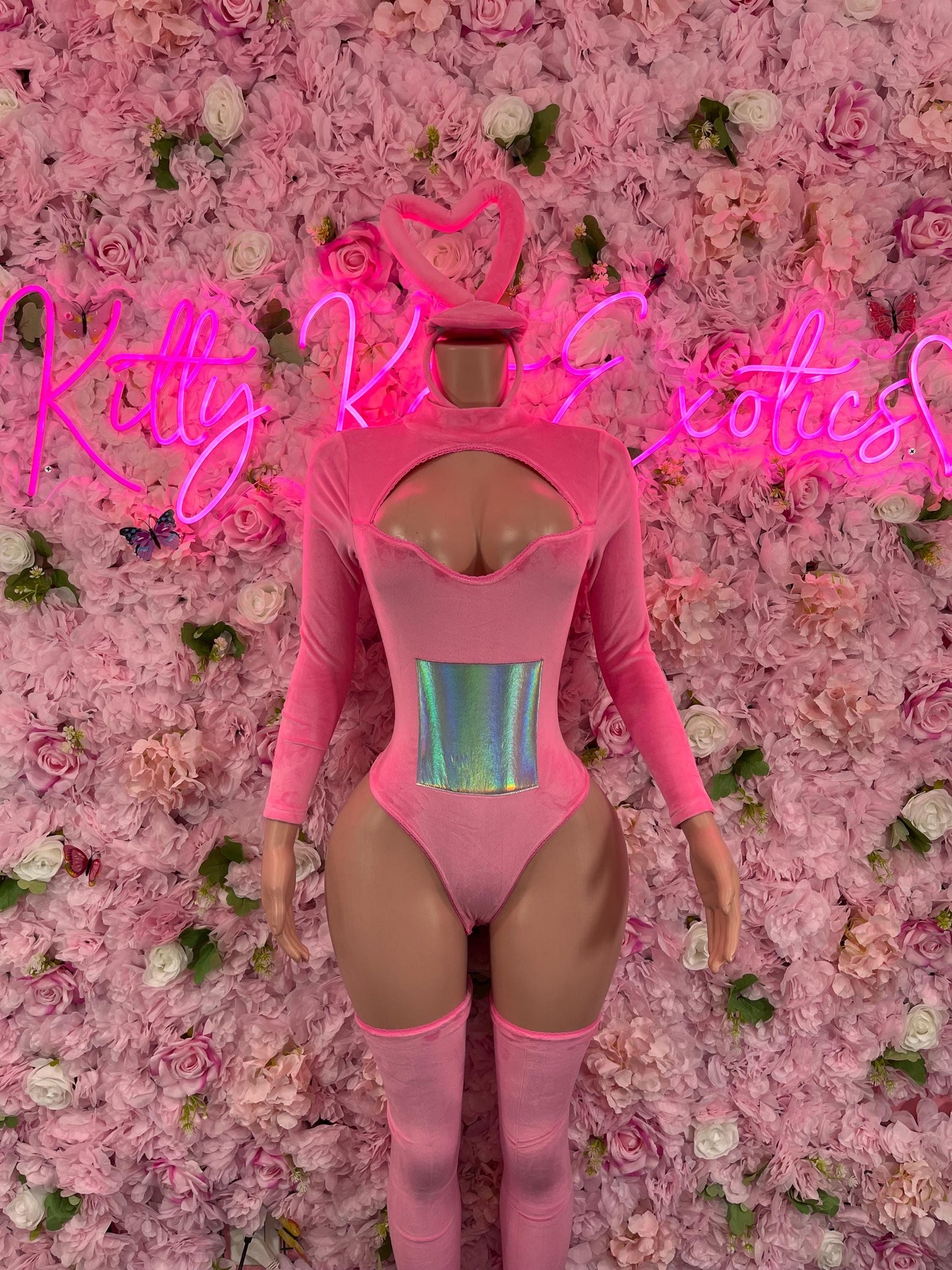 Halloween Costume - All Accessories Shown Included Ravewear