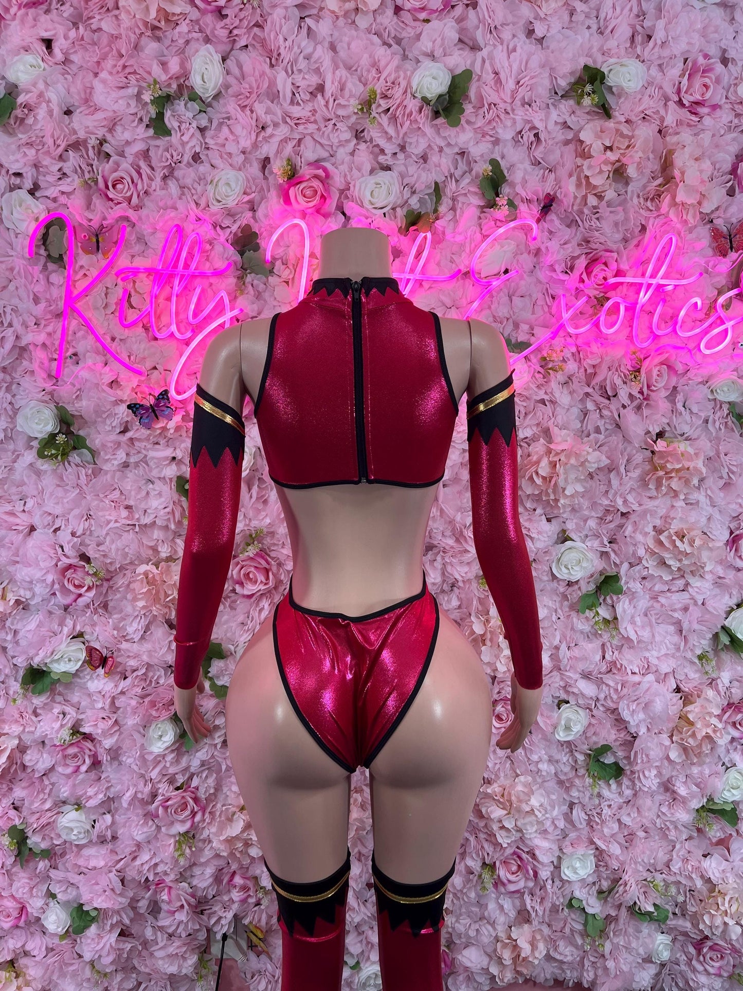 Costume “Kitana All Accessories Shown Included