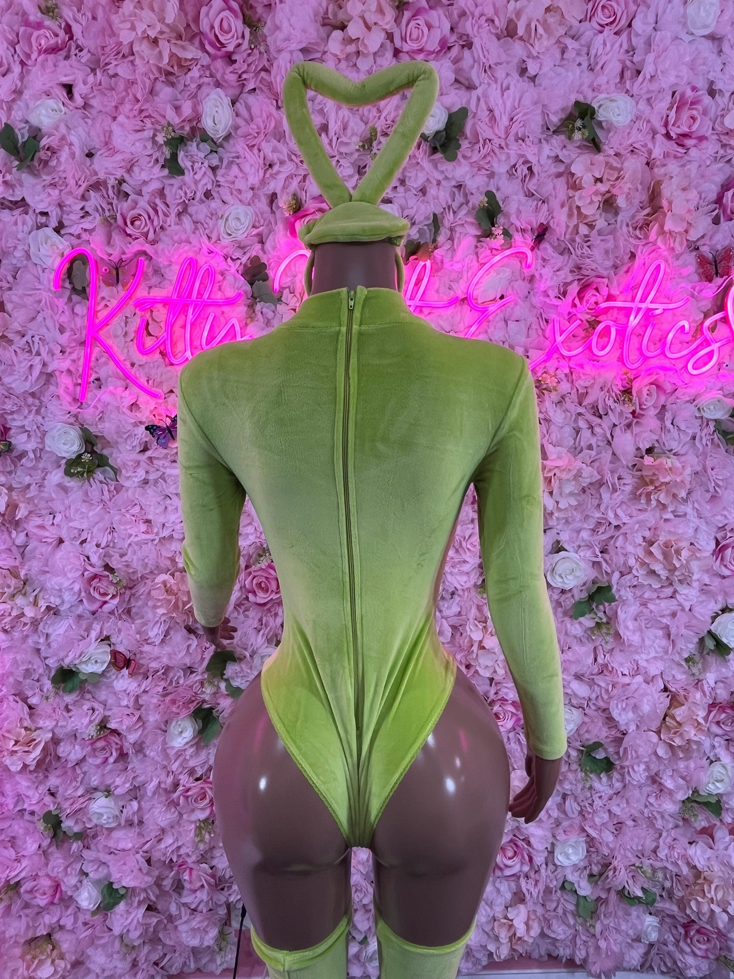 Halloween Costume - All Accessories Shown Included