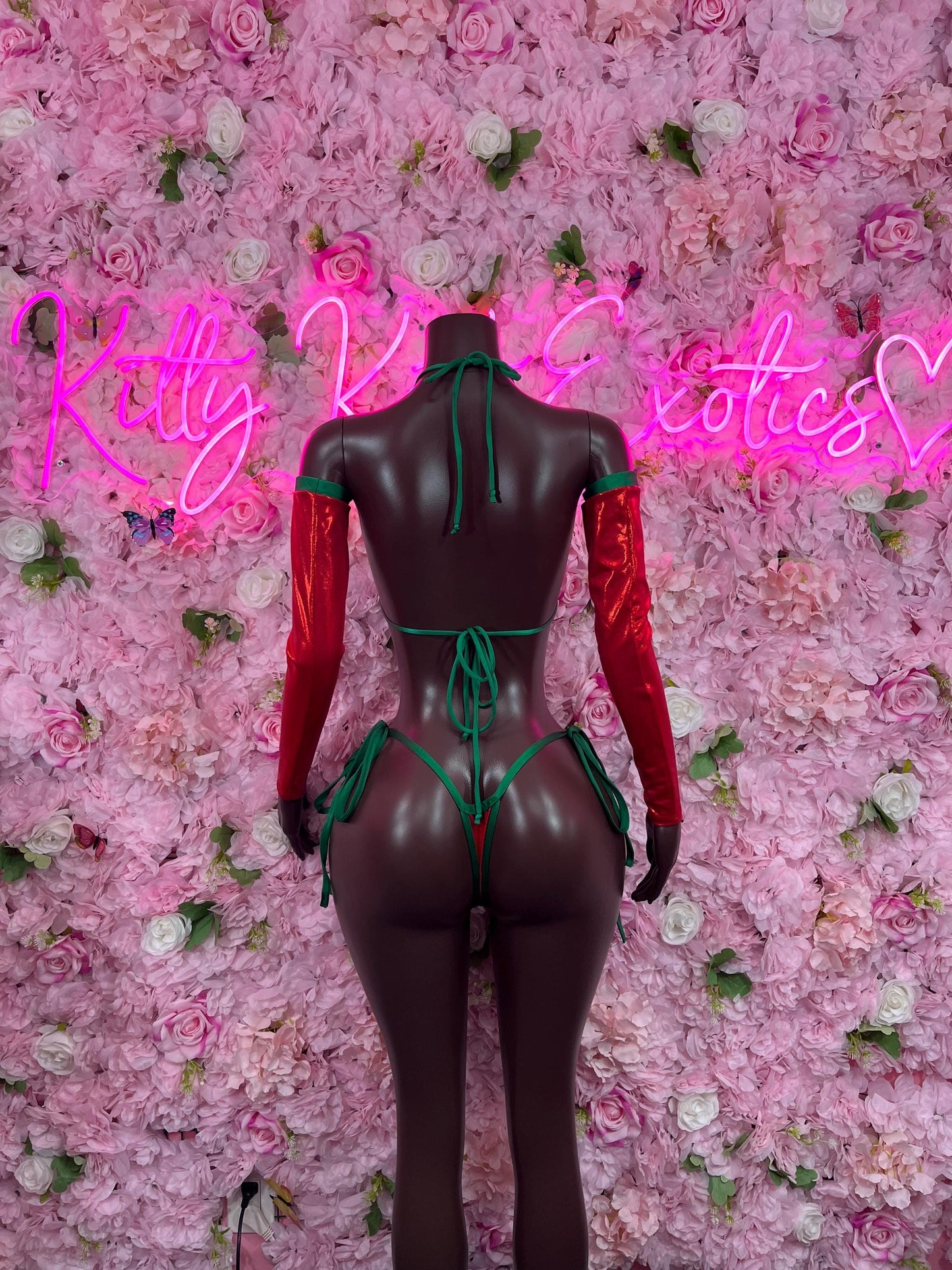 Sexy Santa Christmas Costume - Holiday Outfit - Festive Womens Christmas Lingerie