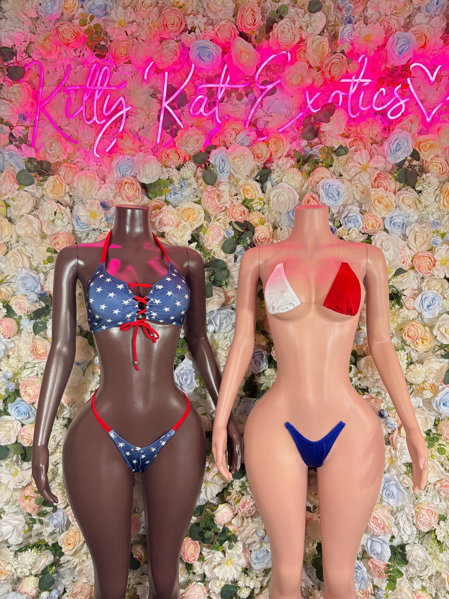 Labor Day USA Flag Bikini Two Piece USA Patriotic Exotic Outfit for Strippers, Raves, Bottlegirls, Red White & Blue