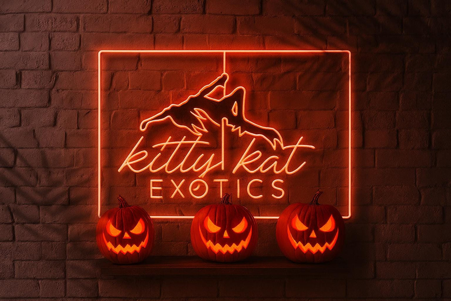 Halloween Costume “Sexy Nurse - All Accessories Shown Included