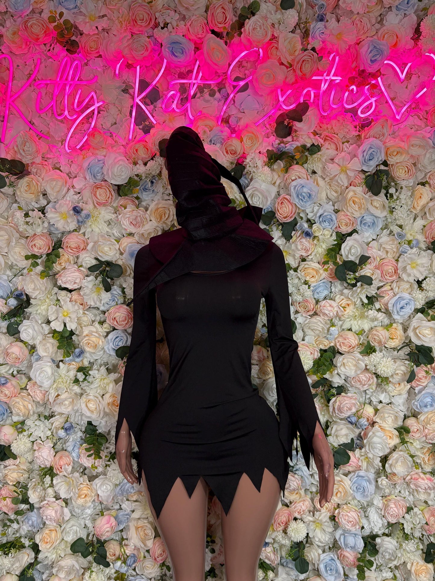 Costumes Witch Adult Costume, Bottlegirl Bartender Outfit, Cosplay Costume