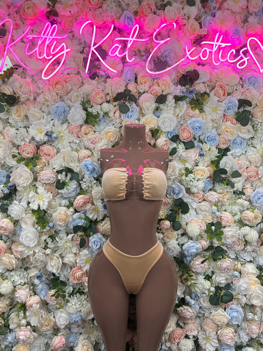 Two-piece lingerie set: dark sheer bodysuit with beige mesh trim, front view
