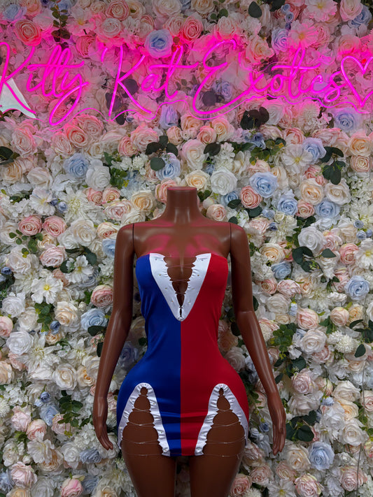 Dominican Flag Dress Bodysuit, One Piece Bartender Outfit, Parade Costume, Festival Rave Wear