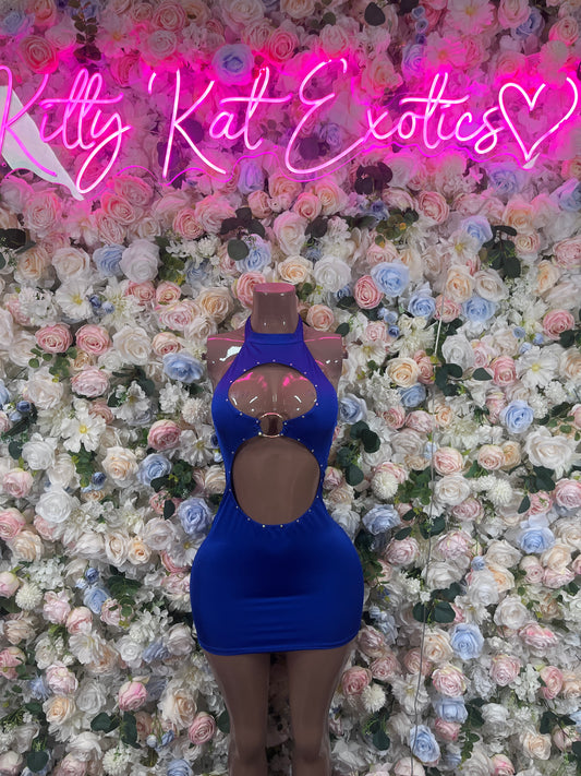 Royal Blue Dress Exotic Dancewear