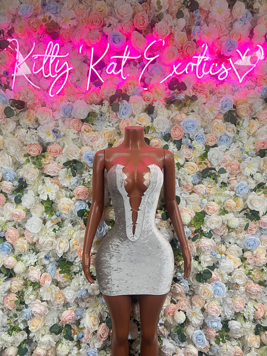 Exotic Dancewear New Years Silver Velvet Dress, Exotic Dancewear, Party Outfit