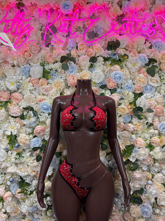 Two-piece dancewear: red printed bra and matching bikini bottoms on mannequin