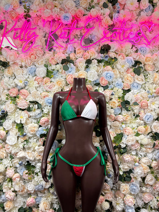 Mexican Flag Bikini Set | Festival Two-Piece Swimsuit
