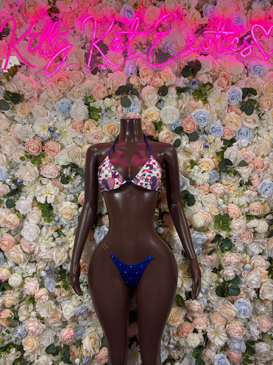 Patriotic two-piece bikini costume, star-pattern triangle top and high-cut bottoms, blue red white