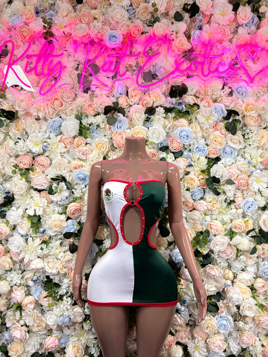 Mexican Flag Dress Festival Wear