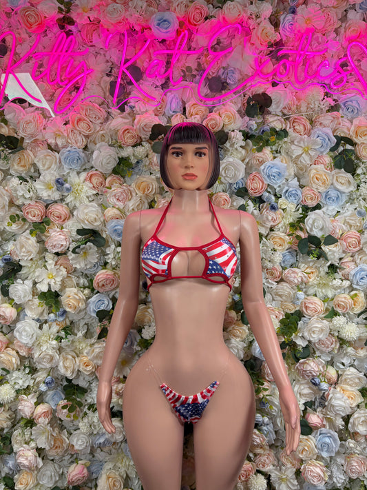 USA Flag - Bottlegirl Bikini Two Piece Bartender  Patriotic Swimsuit for Beach, Pool Parties, or Summer Fun