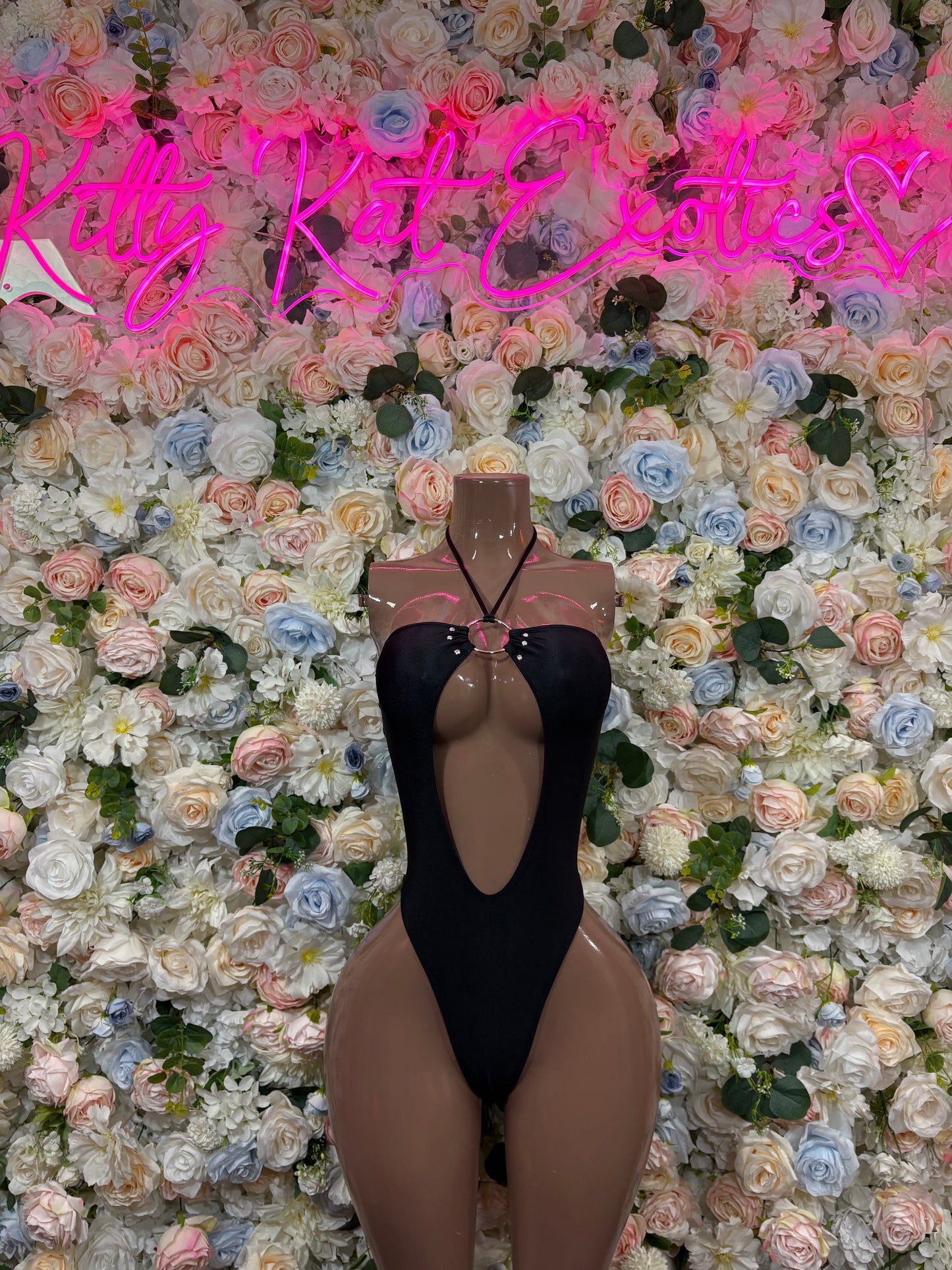 Black sheer one-piece bodysuit, deep V front, high-cut legs