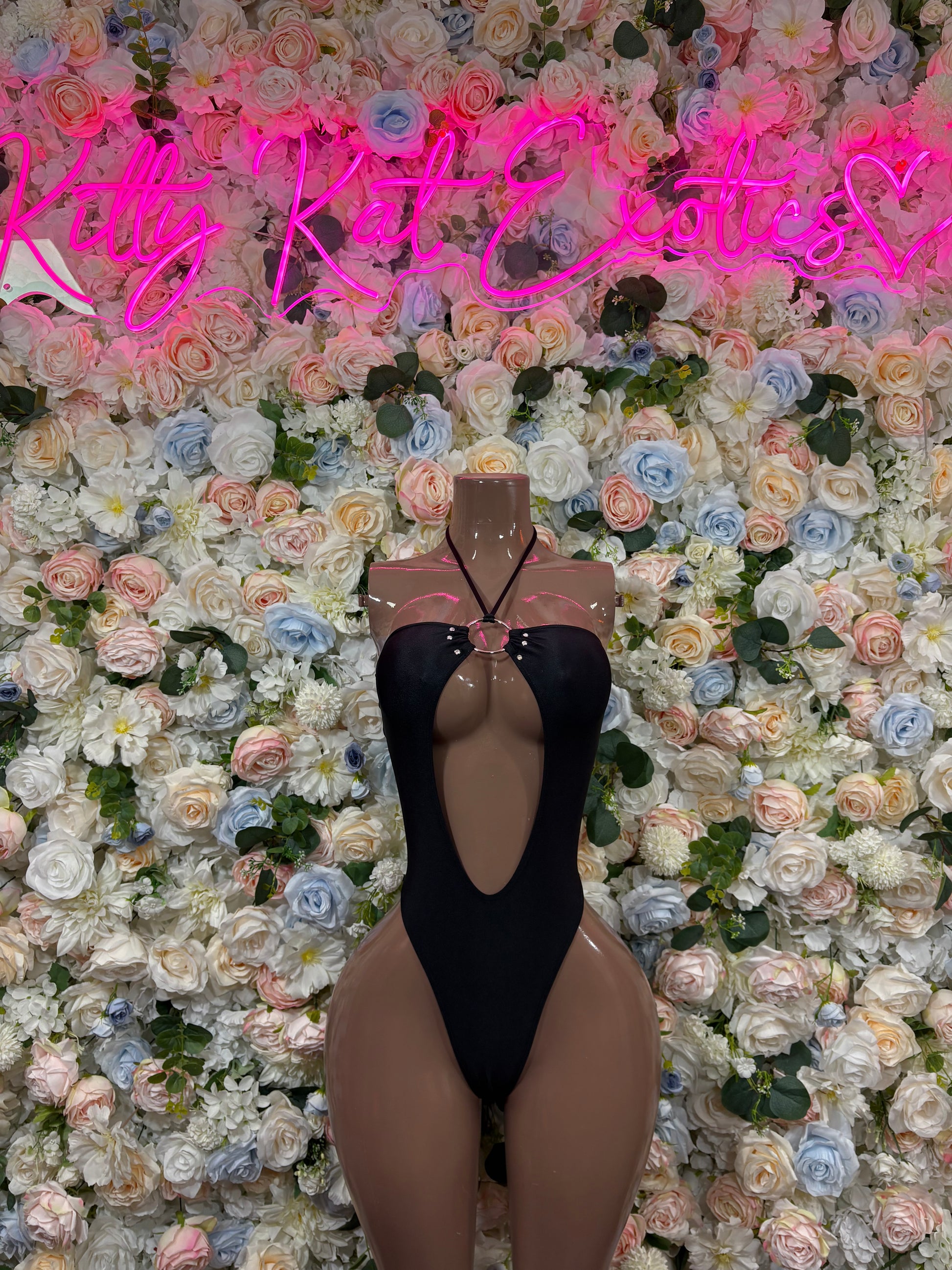 Black sheer one-piece bodysuit, deep V front, high-cut legs