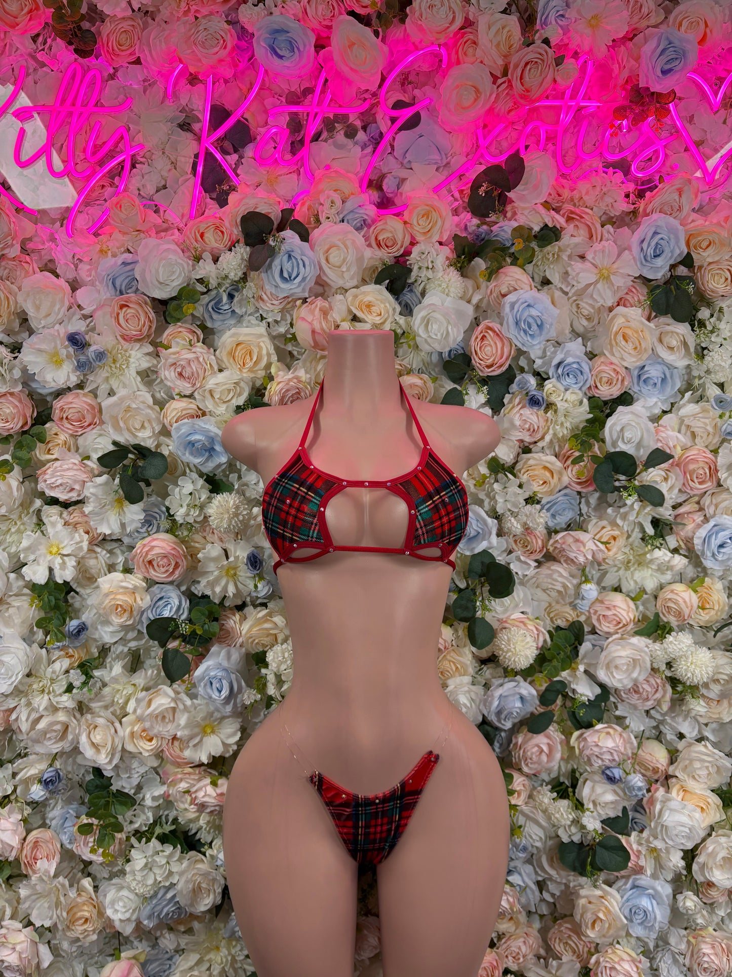 Christmas Holiday Outfit Two Piece Bikini “Gift” Red Santa Exotic Dancewear Costume Holiday