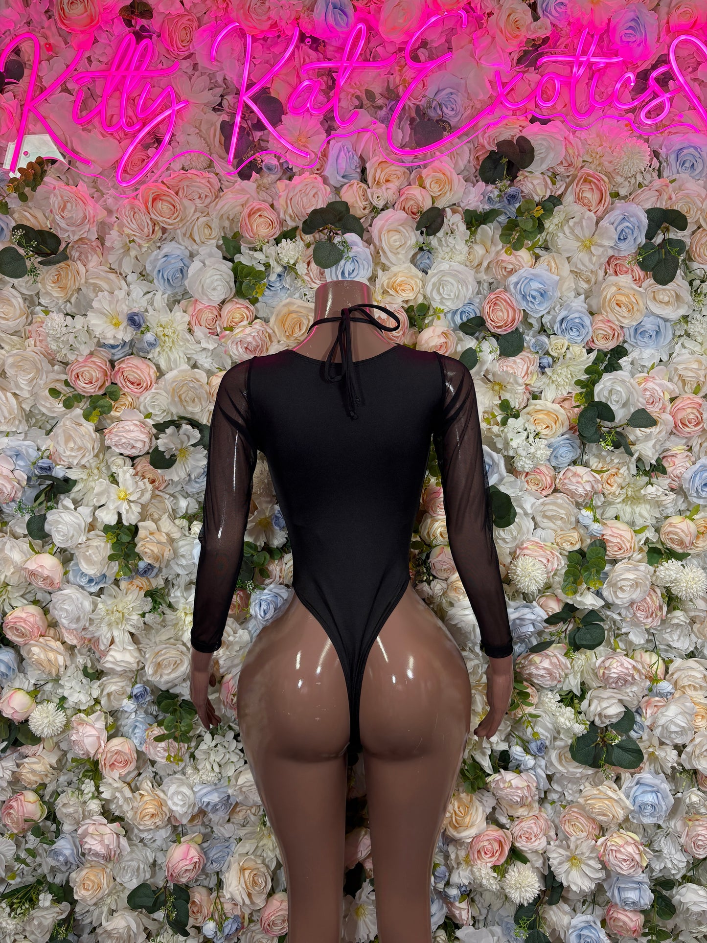 Black sheer long-sleeve bodysuit, form-fitting with deep neckline