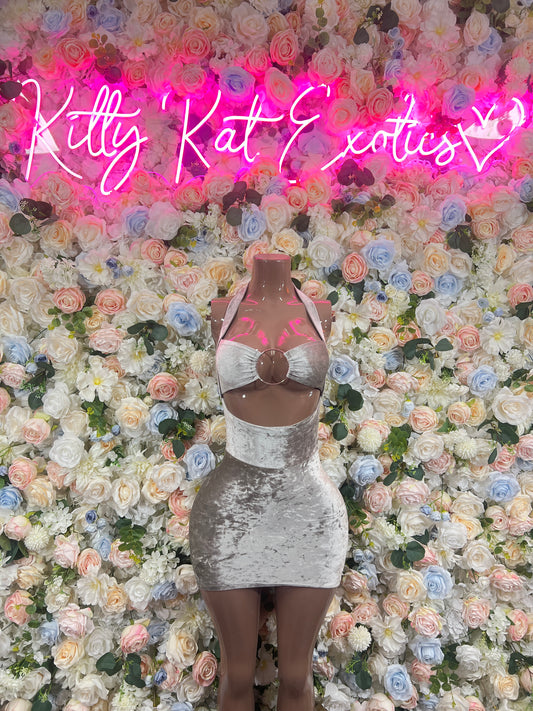 Exotic Dancewear New Years Silver Velvet Dress, Exotic Dancewear, Party Outfit