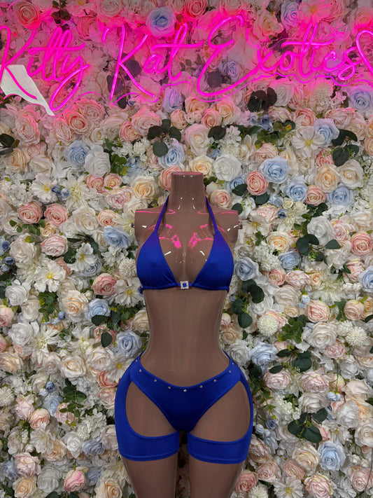 Royal Blue Bikini Two Piece Set Exotic Dancewear Rave Festival Outfit