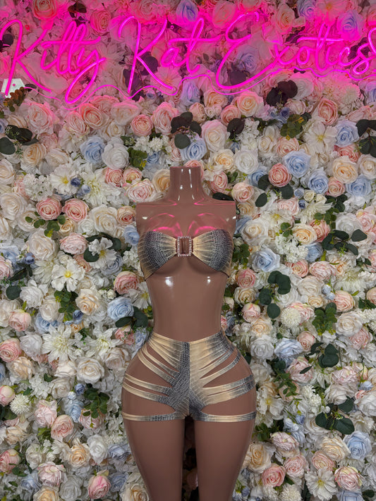 Snake Print Two Piece Cutout Dancewear Rave Outfit