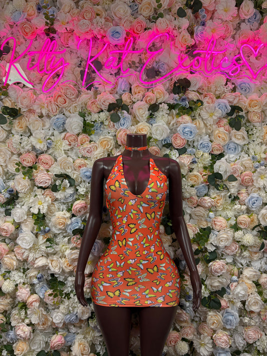 Butterfly Print Dress Exotic Dancewear