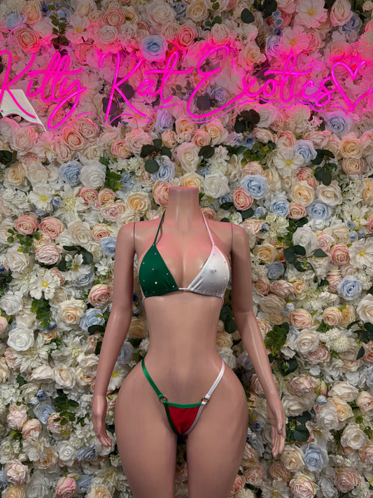 Mexican Flag Bikini Set | Festival Two-Piece Swimsuit