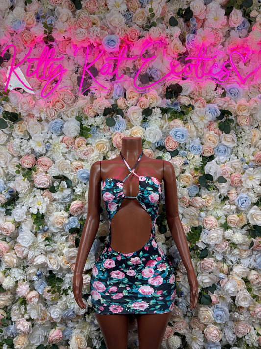 Floral Print Dress Women’s Clothing