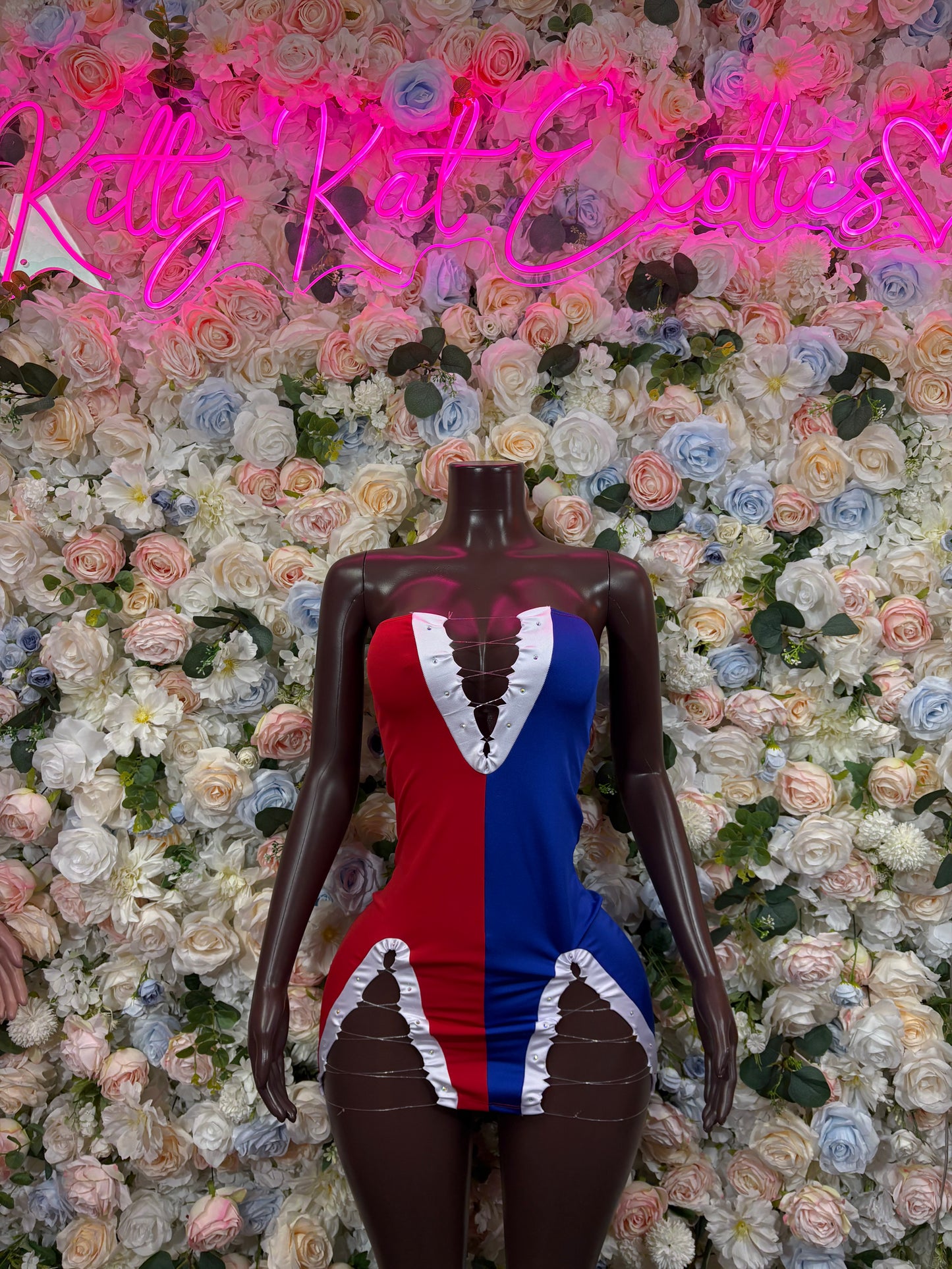 Dominican Flag  Dress, One Piece Bartender Outfit, Parade Costume, Festival Rave Wear