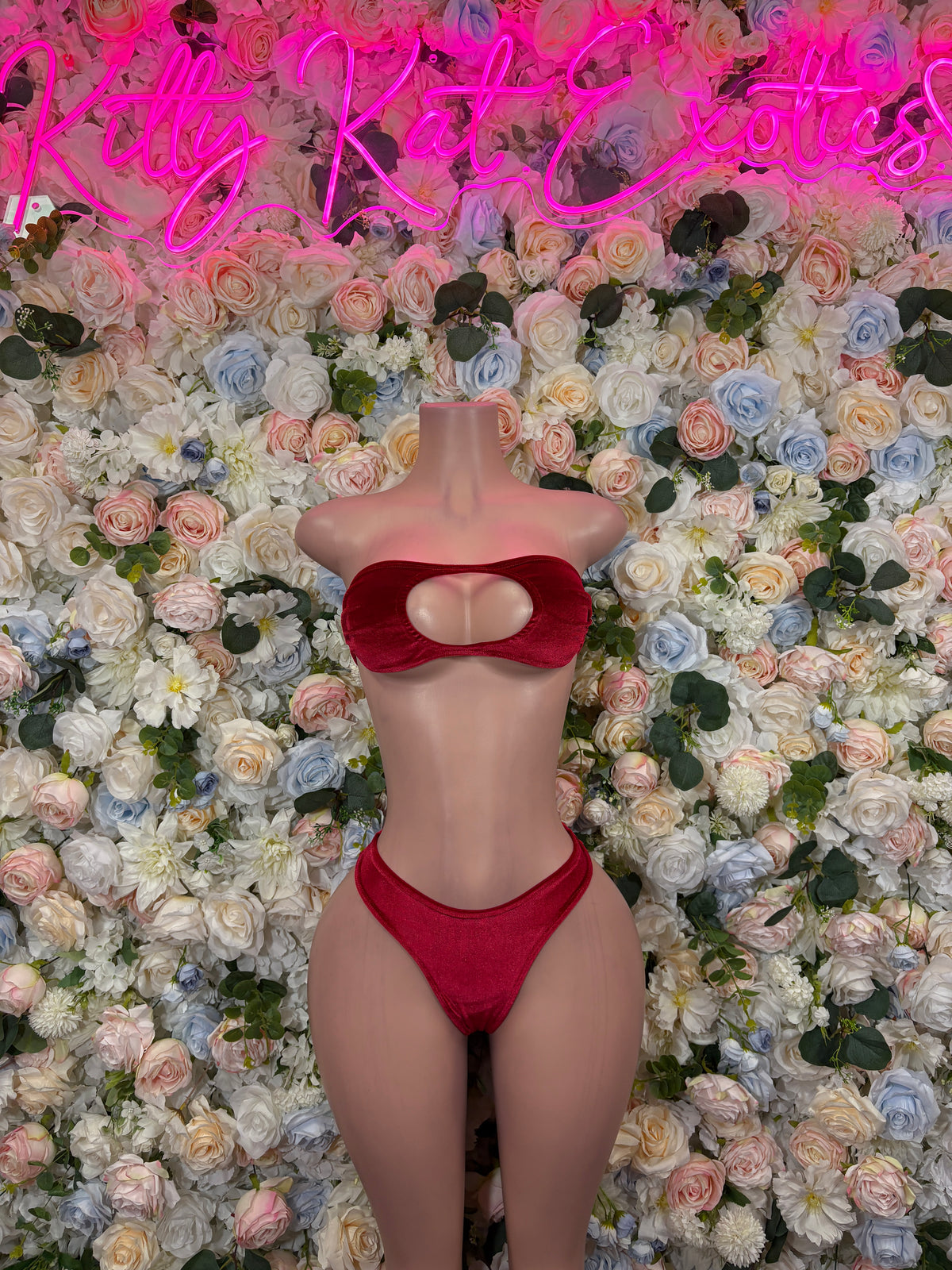 Red Velvet Two Piece Bodysuit, Exotic Dancewear Rave Outfit