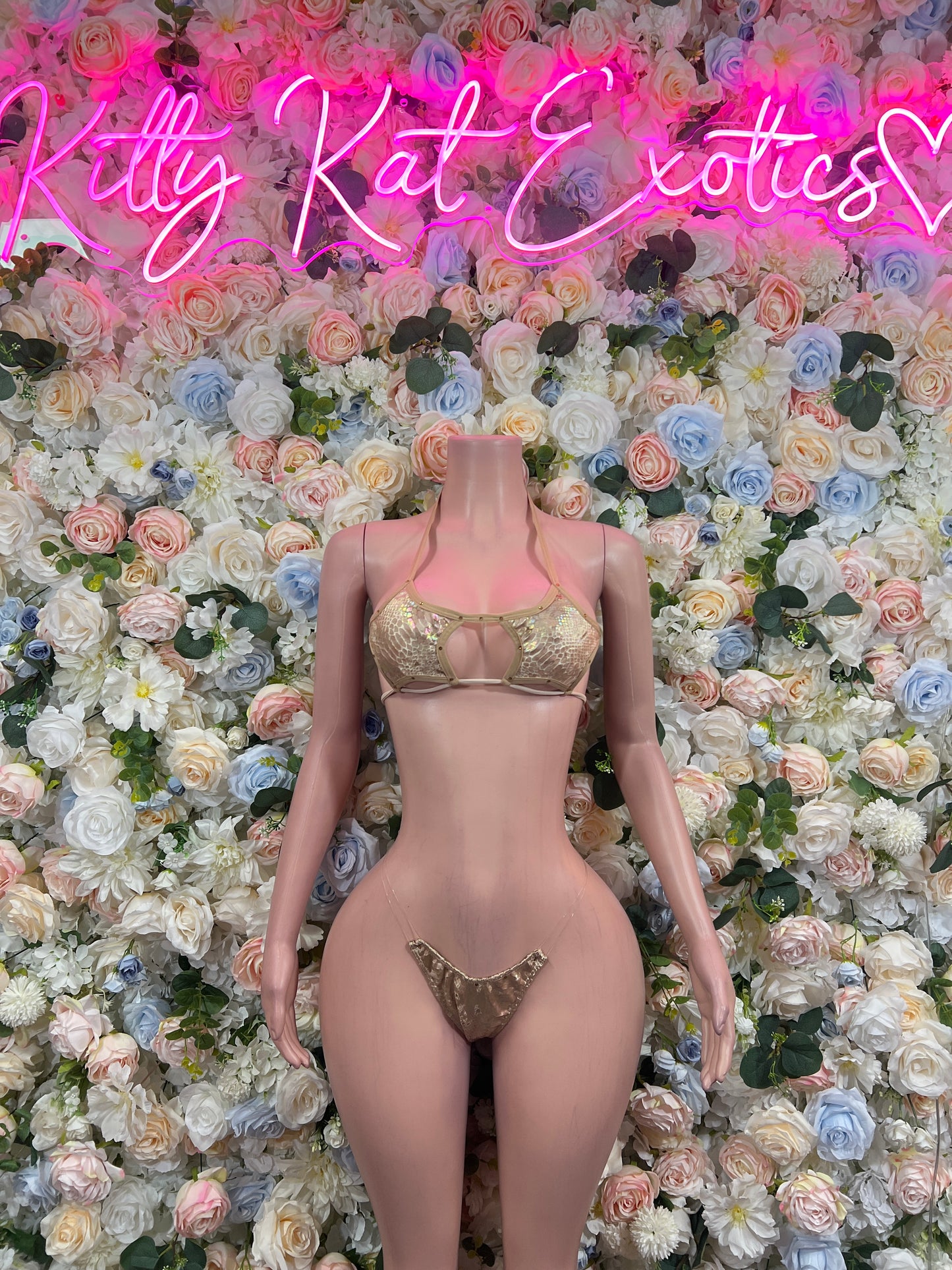Nude Bikini Two Piece Set Exotic Dancewear Performers Rave Festival Wear