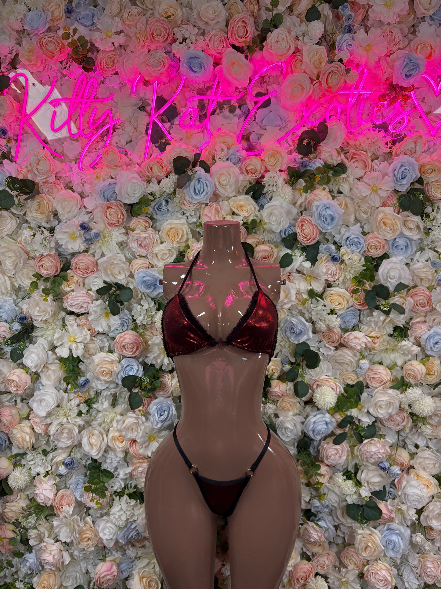 Christmas Outfit Sexy Santa Bikini  Costume Santa Baby Outfit Bartender Dancewear