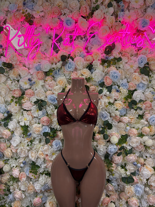 Christmas Outfit Sexy Santa Bikini  Costume Santa Baby Outfit Bartender Dancewear