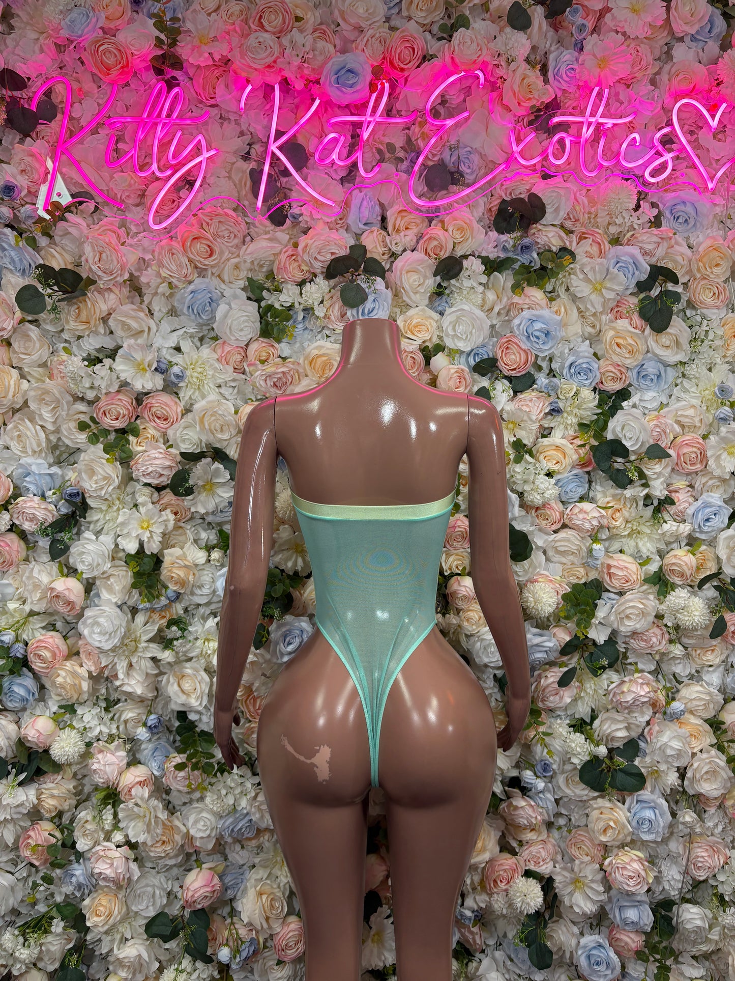 Exotic Dancewear One-Piece Mint Green Bodysuit Raves, & Festival Clothing