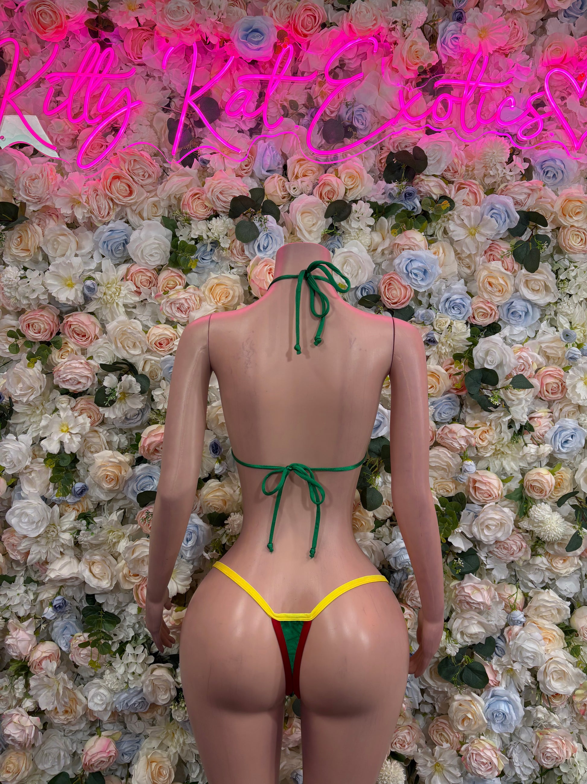 Back view bikini swimsuit with red cups, green tie straps, yellow trim