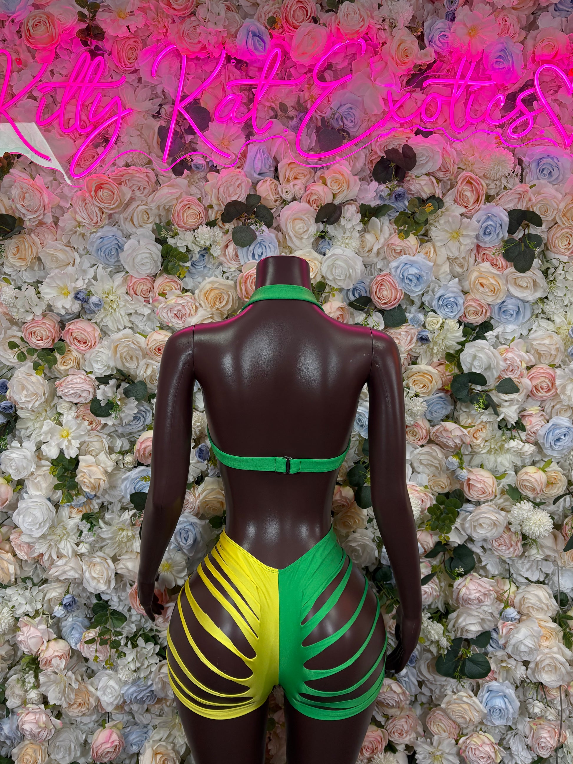 Two-piece bikini back view with green and yellow striped panels and black base