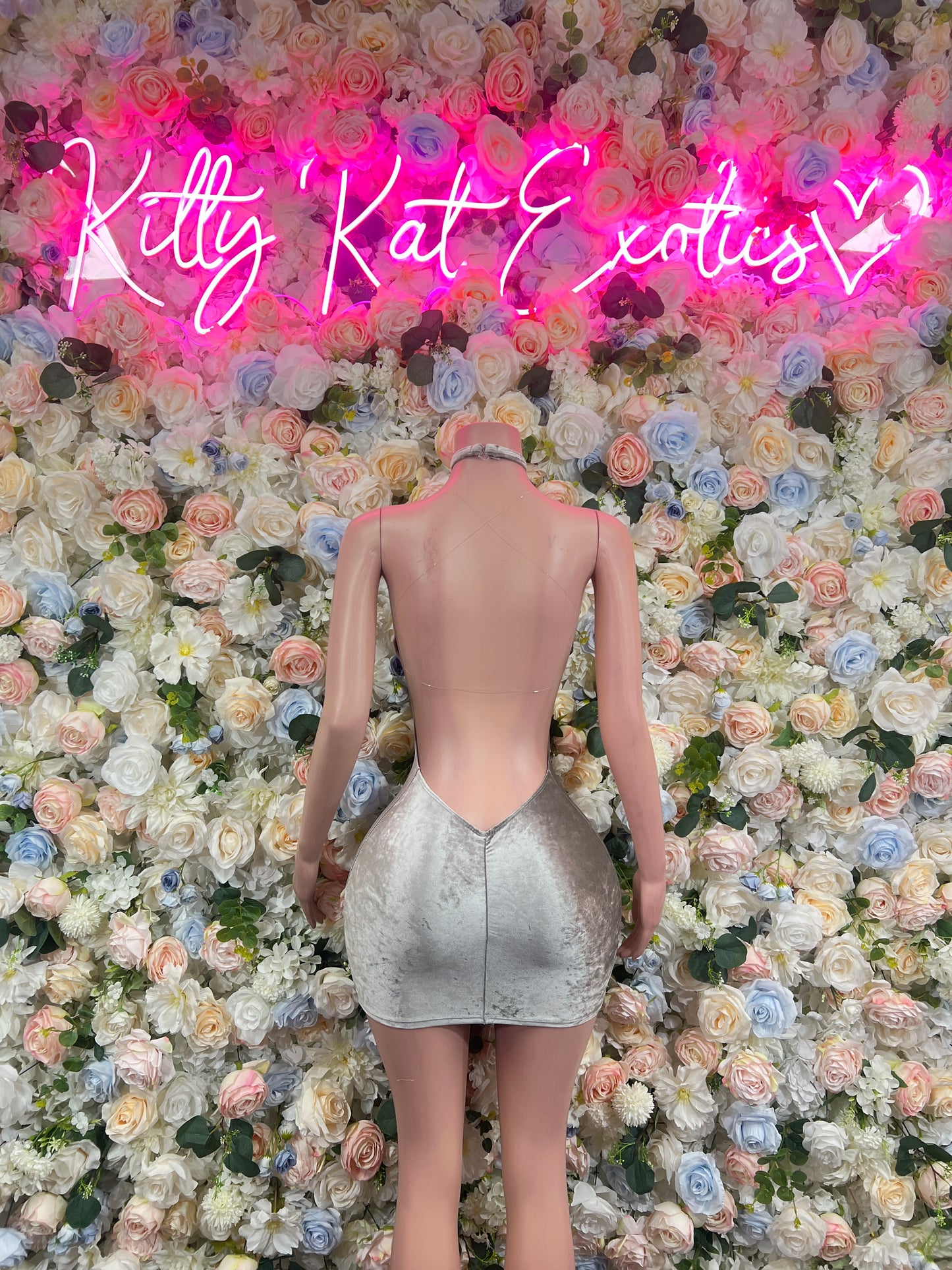 Exotic Dancewear New Years Silver Velvet Dress, Exotic Dancewear, Party Outfit