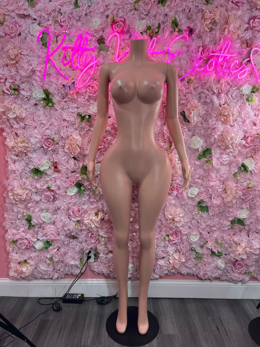 BBL Mannequin (Package #3)  High-Quality Display Mannequin | 3 Business Day Shipping | Please Read Description