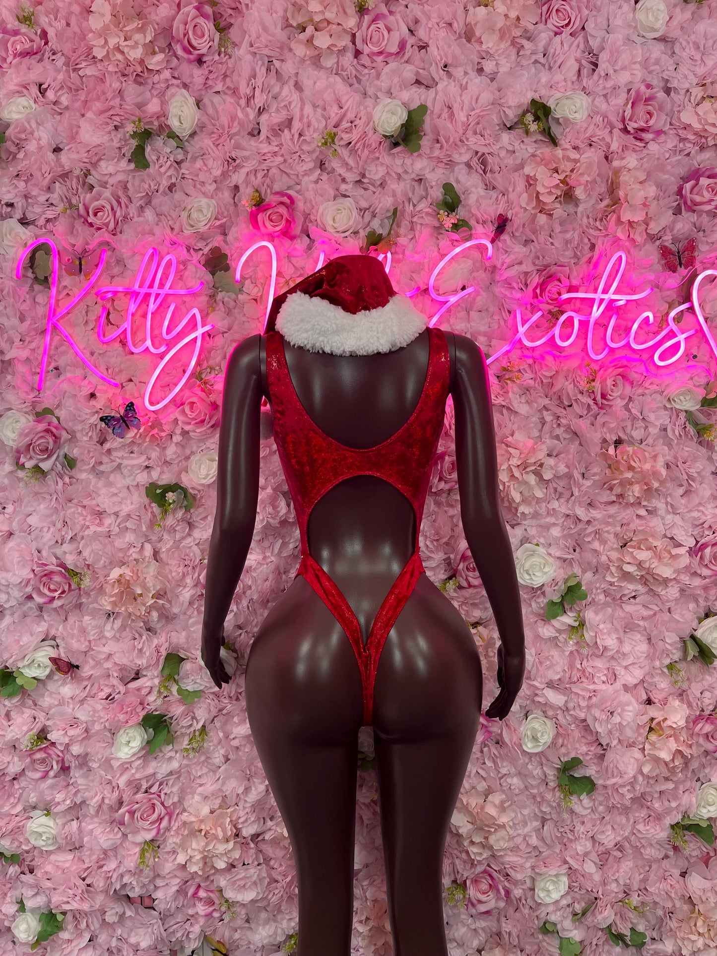 Naughty Santa Sexy Santa Christmas Costume - One Piece Holiday Outfit - Festive Womens Christmas Lingerie - Hat Included Christmas