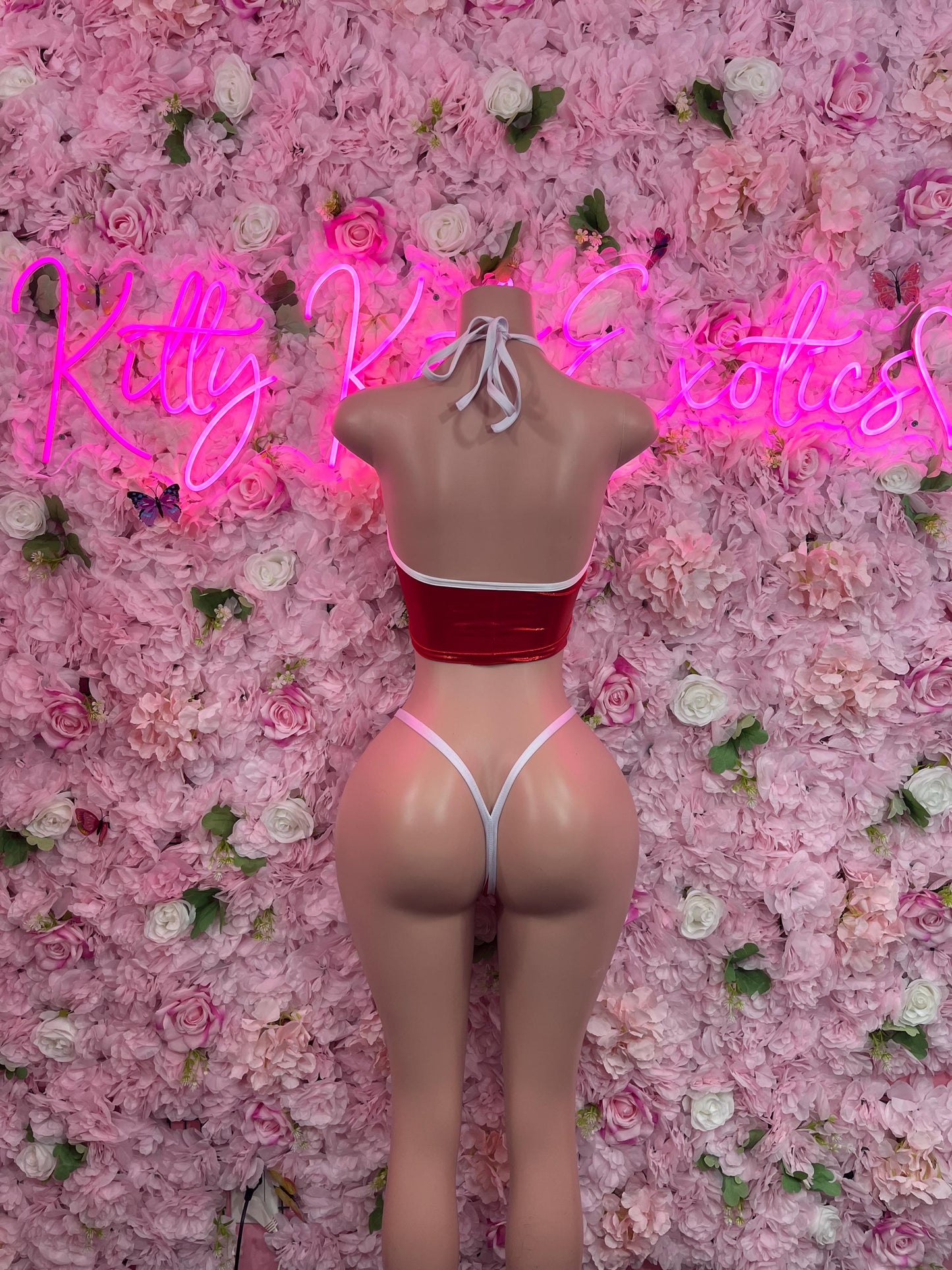 Sexy Santa Christmas Costume - Bikini  Holiday Outfit - Festive Womens Christmas Lingerie