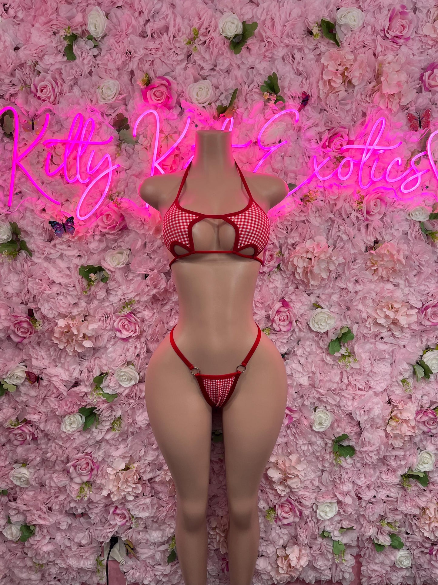 Christmas Sexy Santa  Costume - Two Piece Bikini Holiday Outfit - Festive Womens Christmas Lingerie - Hat Included Christmas