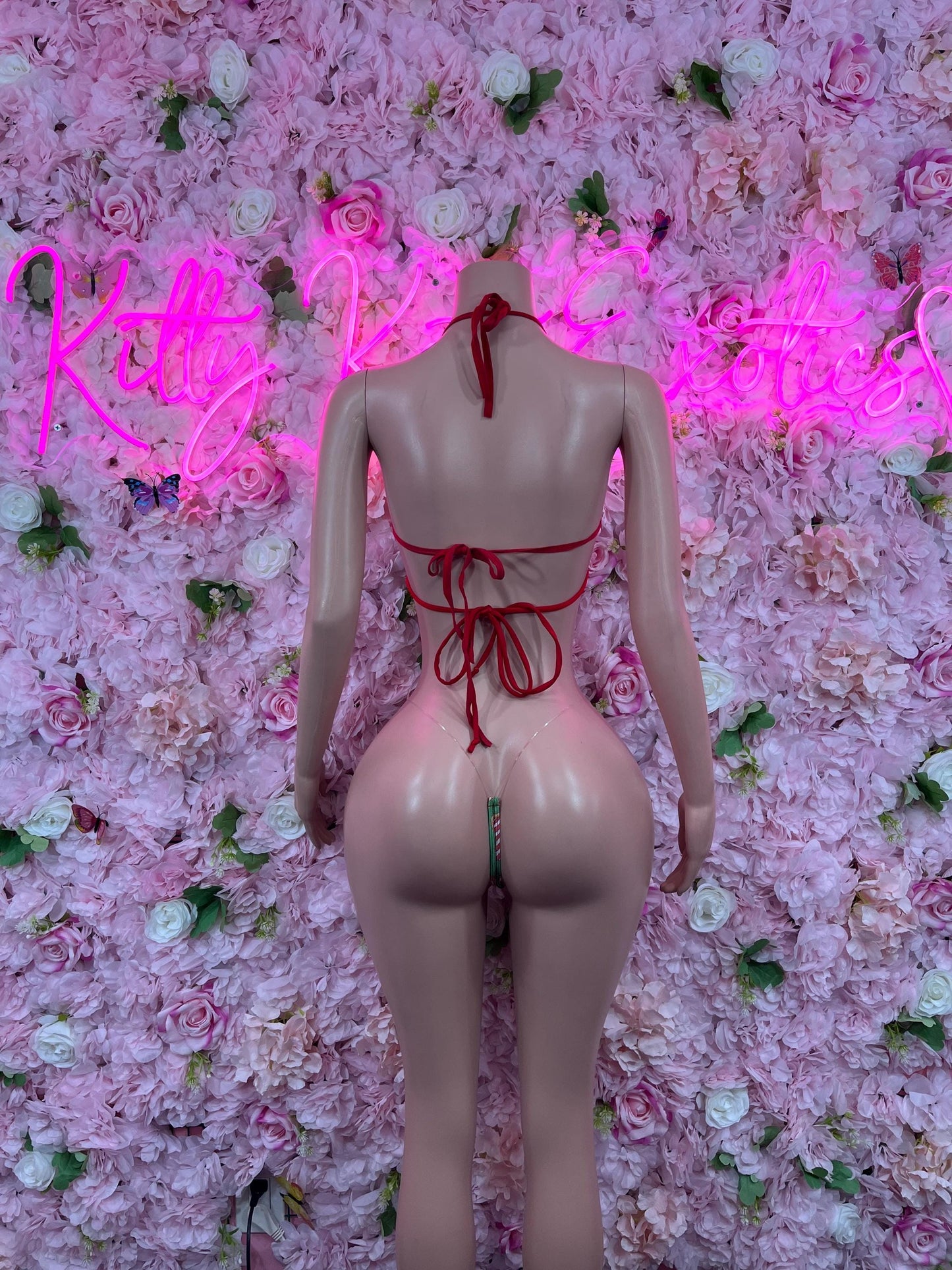 Sexy Santa Christmas Costume - Two Piece Bikini  Holiday Outfit - Festive Womens Christmas Lingerie Christmas