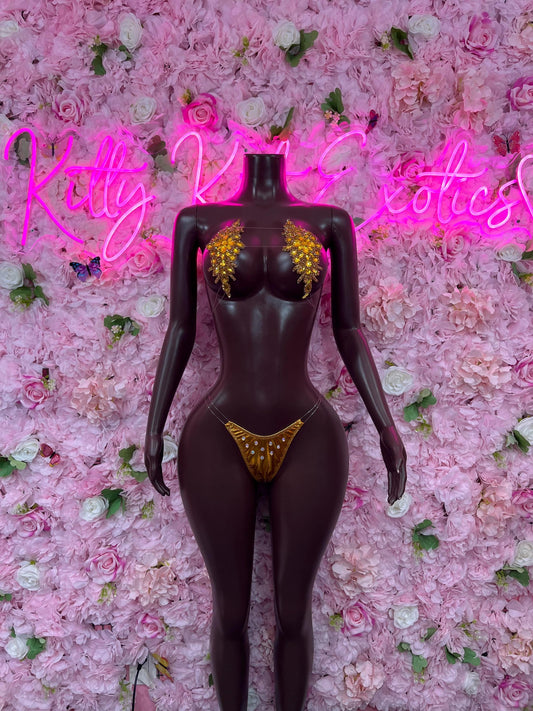 Two Piece Gold Rhinestone Dancewear Festival Wear Exotic Ravewear Costume Perfomer Outfit
