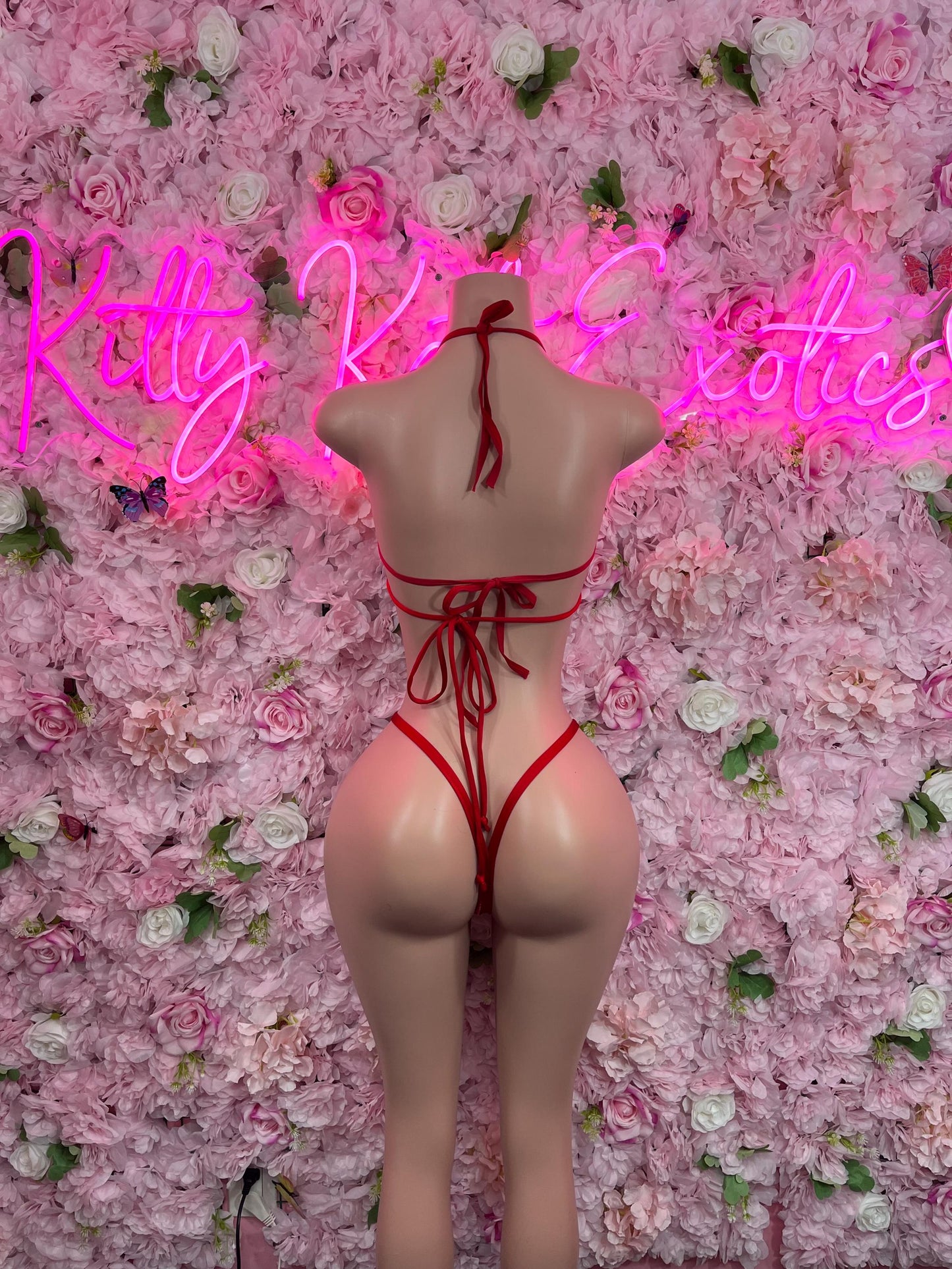 Christmas Sexy Santa  Costume - Two Piece Bikini Holiday Outfit - Festive Womens Christmas Lingerie - Hat Included Christmas