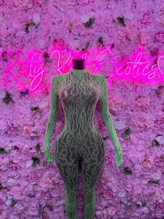 Exotic Dancewear Dance Costume  One Piece Fishnet Green Dancewear Exotic Wear Festival Wear