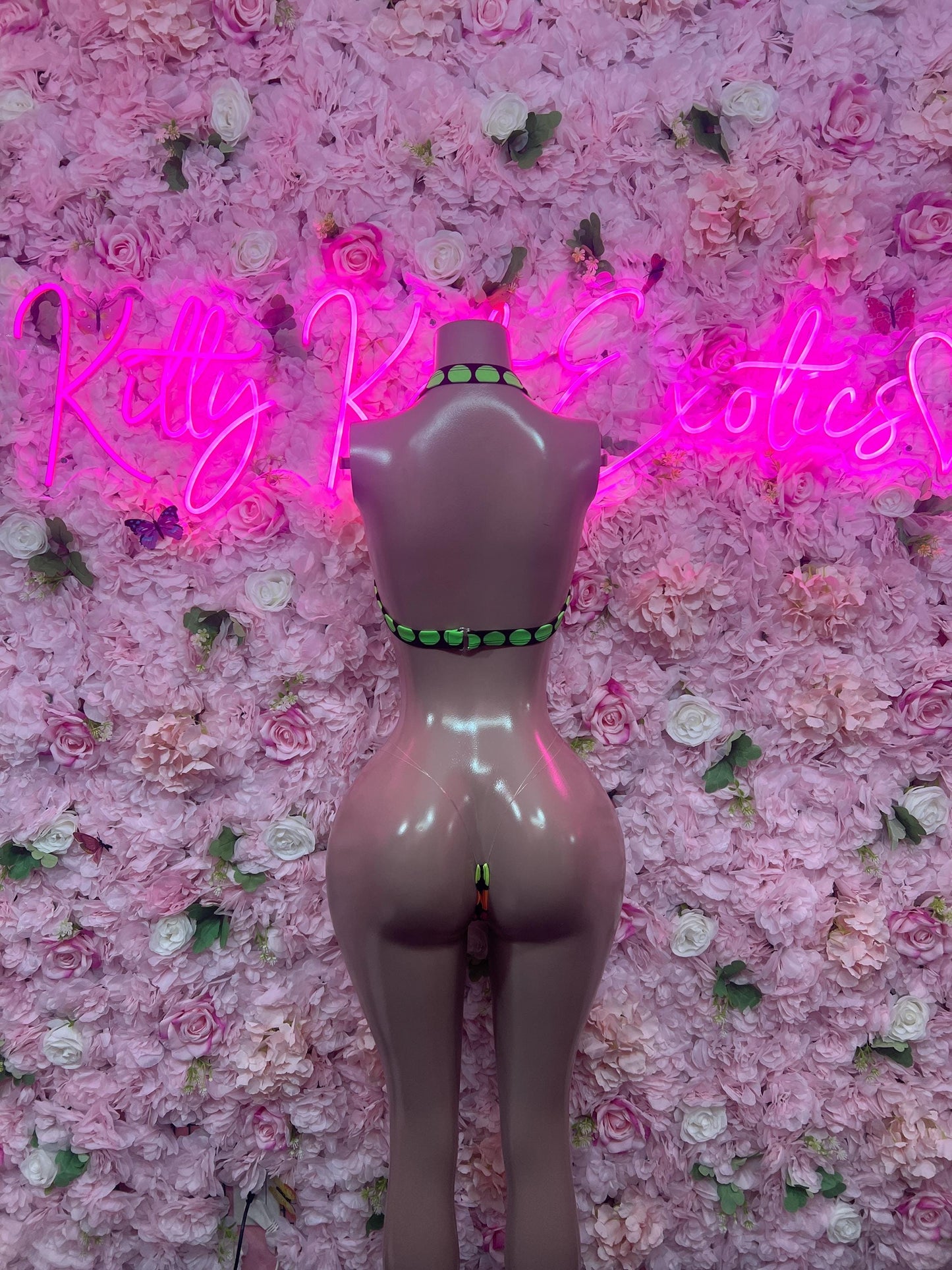 Womens Clothing Two-Piece Multicolor Bikini  Cute Swimsuit Set for Beach, Pool, or Vacation | Exotic Dancewear Festival wear