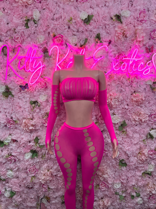 Exotic Dancewear Festival One Piece Fishnet Pink Dancewear Exotic Wear Festival Wear