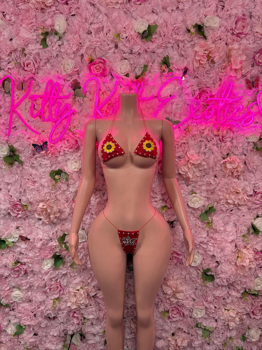 Festival Two-Piece Red Custom Bikini  Cute Swimsuit Set for Beach, Pool, or Vacation | Exotic Dancewear Festival wear