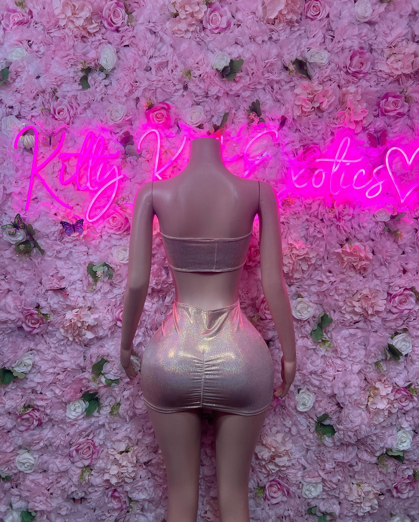 Sexy Two-Piece Metallic Skirt Set  Clubwear, Rave Outfit, Exotic Dancewear, Festival Outfit, Bottlegirl & Waitress Uniform, Nightclub Party