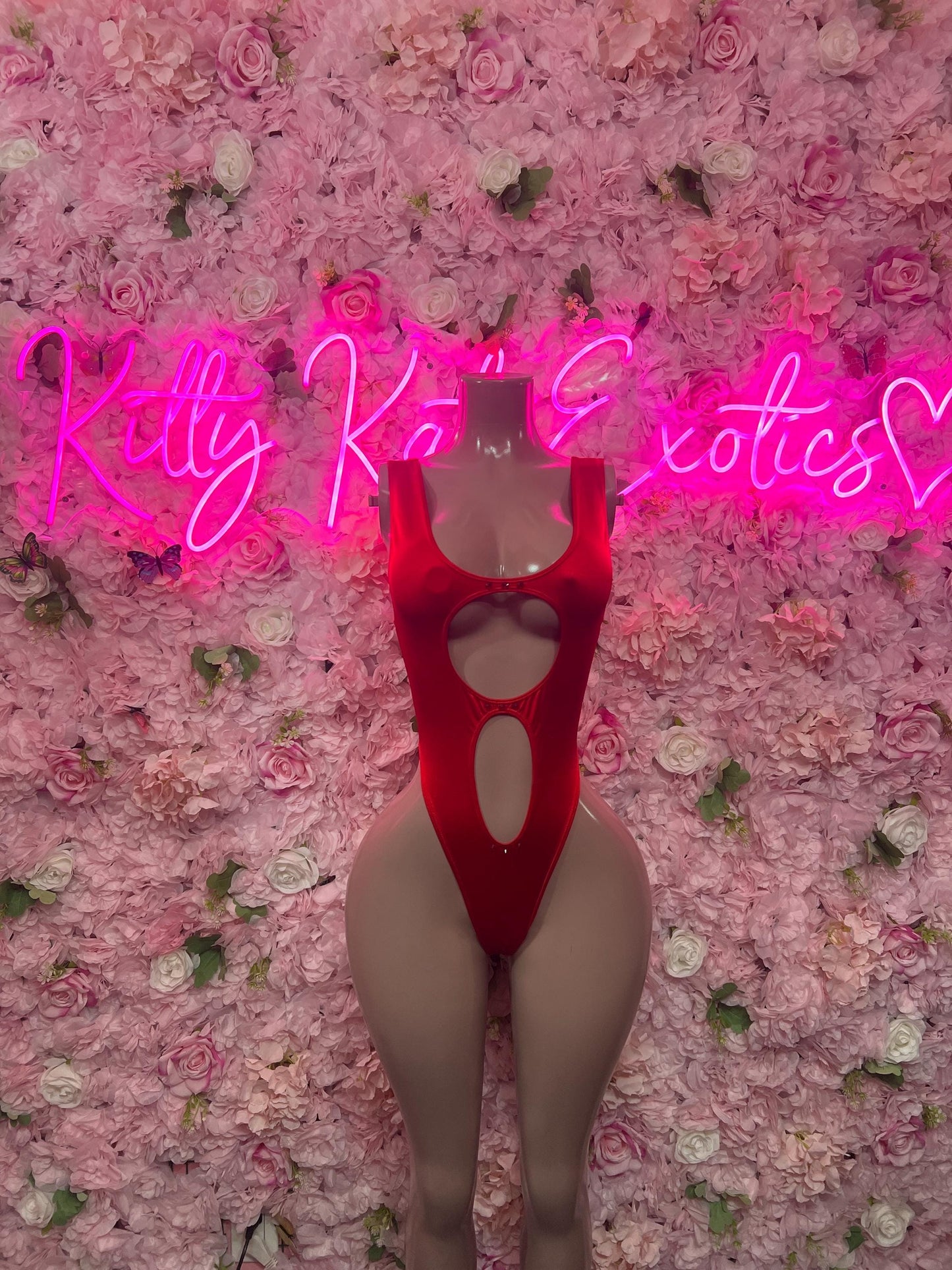 Exotic Dancewear One-Piece Bodysuit  Exotic Dancewear, Clubwear, Rave Outfit, Festival Bodysuit, Stripper Outfit, Sexy Nightclub Wear